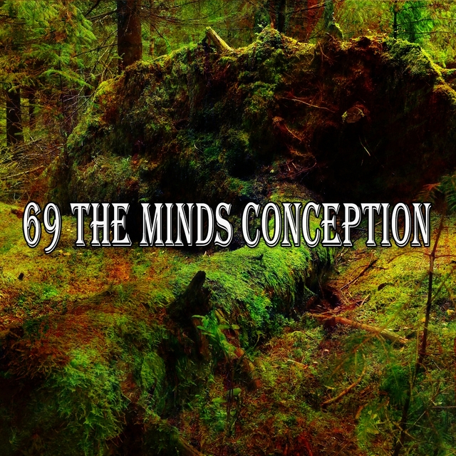 69 The Minds Conception