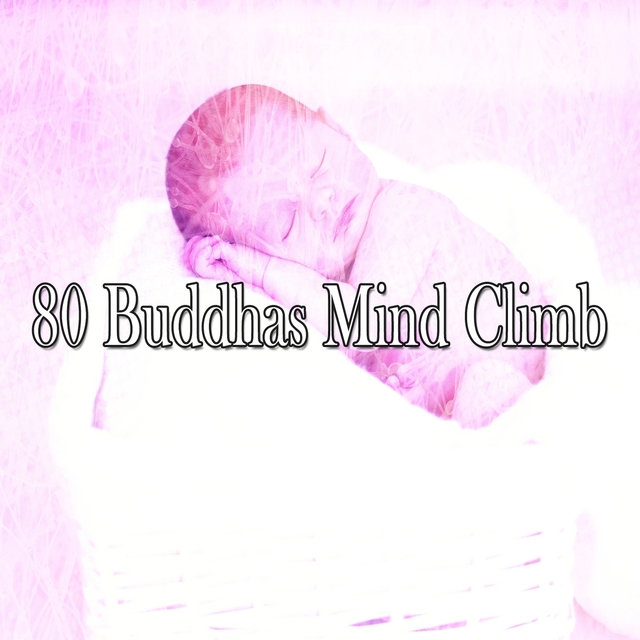 80 Buddhas Mind Climb