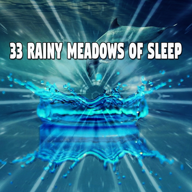 33 Rainy Meadows of Sle - EP