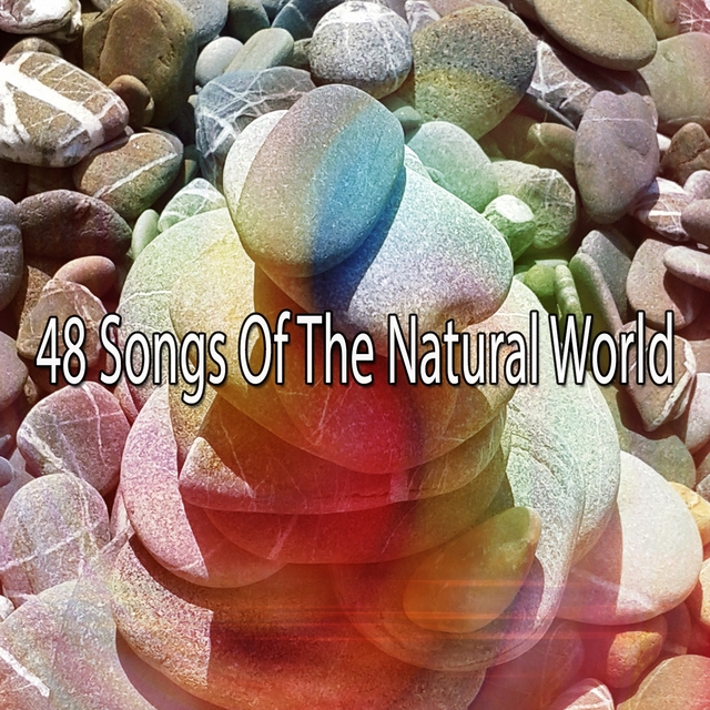 48 Songs of the Natural World