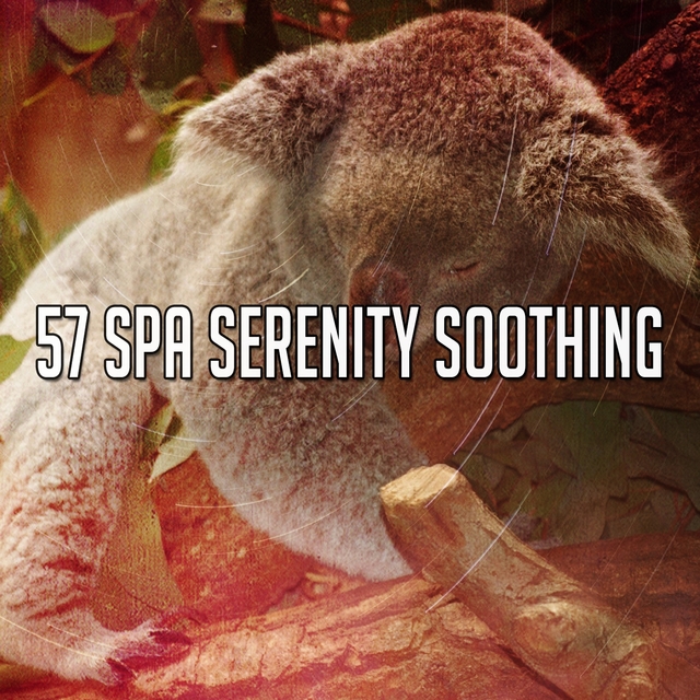 57 Spa Serenity Soothing