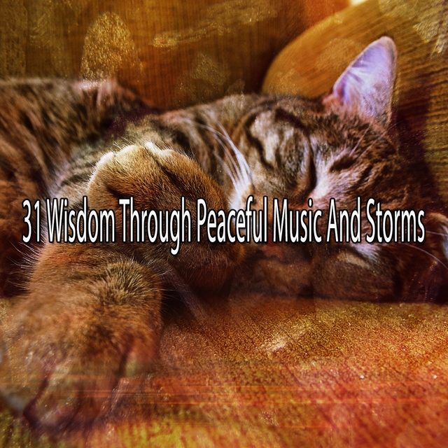 31 Wisdom Through Peaceful Music and Storms