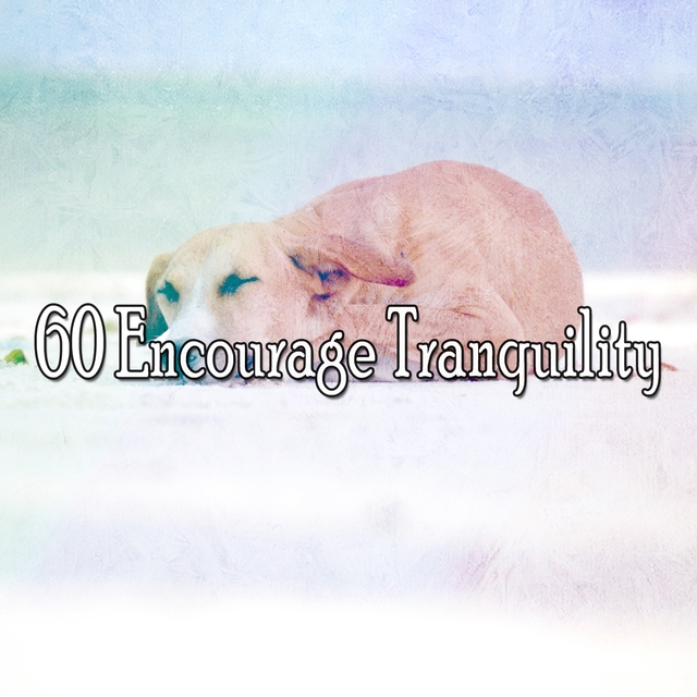 60 Encourage Tranquility