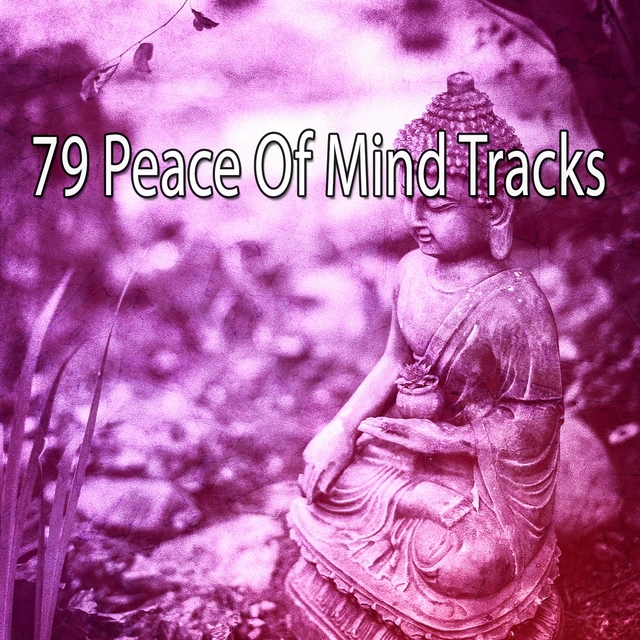 79 Peace of Mind Tracks