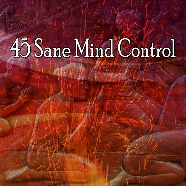 45 Sane Mind Control