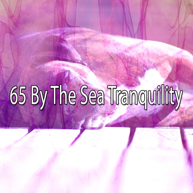 65 By the Sea Tranquility