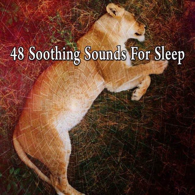 48 Soothing Sounds for Sle - EP