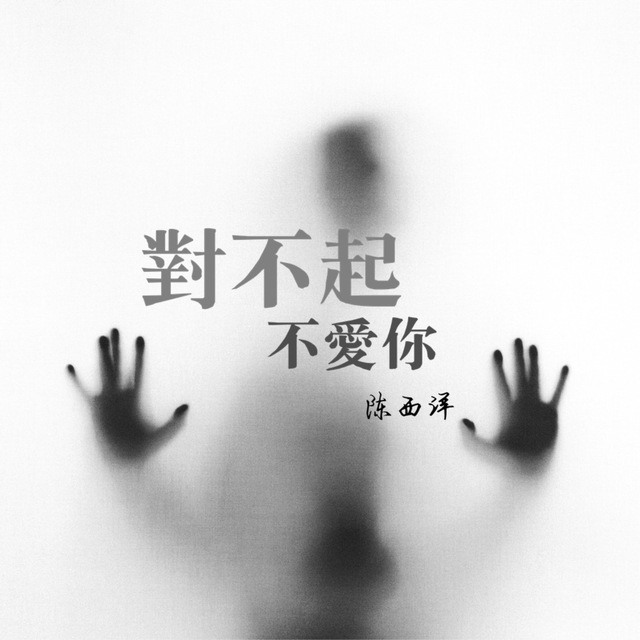 Couverture de 对不起不爱你