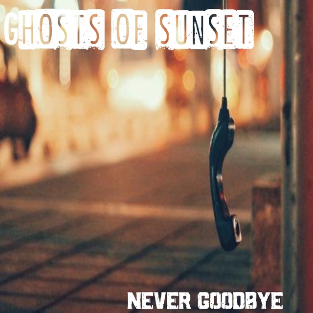 Couverture de Never Goodbye