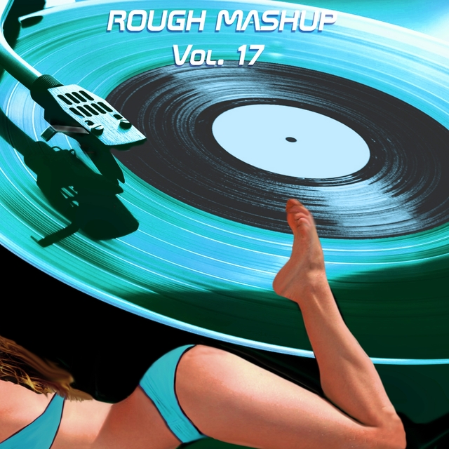 Rough Mashup Vol. 17