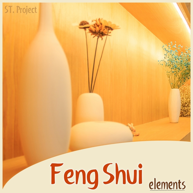 Couverture de Feng Shui Elements