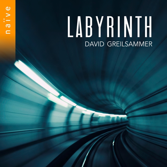 Couverture de Labyrinth