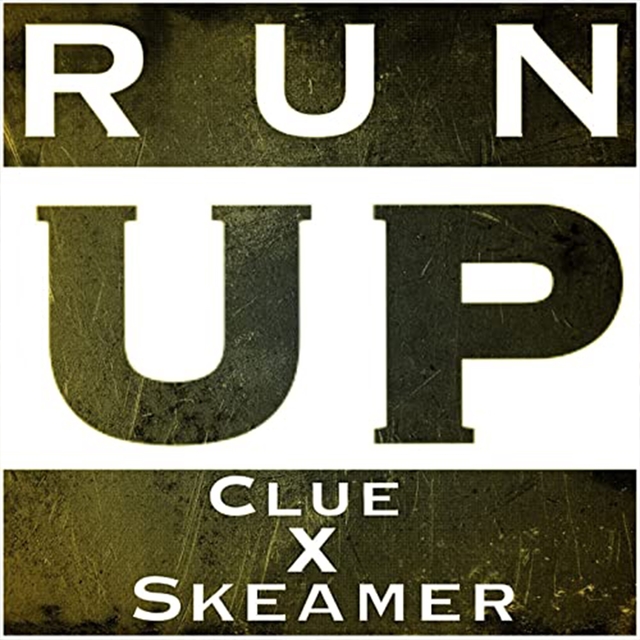 Couverture de Run Up