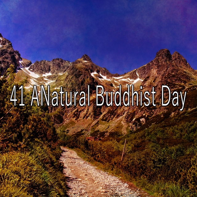 41 Anatural Buddhist Day