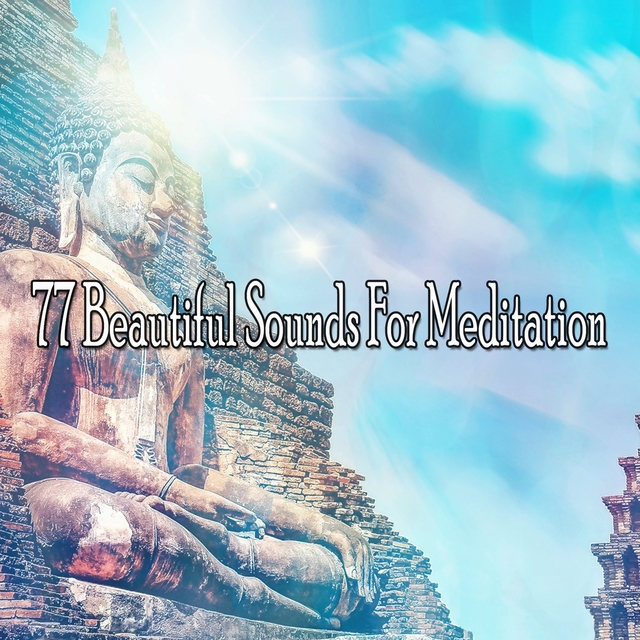 Couverture de 77 Beautiful Sounds for Meditation