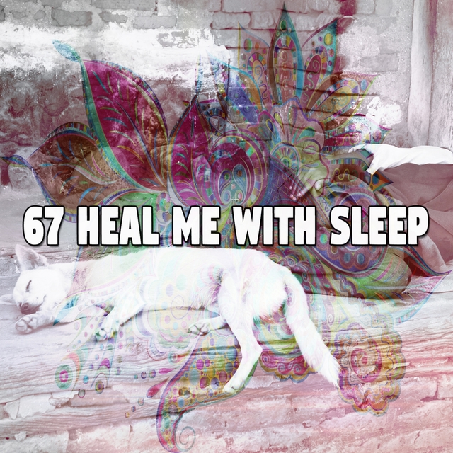 Couverture de 67 Heal Me with Sle - EP