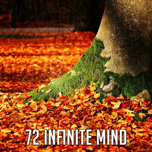 72 Infinite Mind