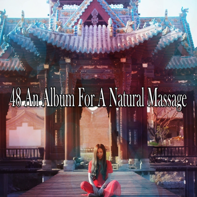 Couverture de 48 An Album for a Natural Massage