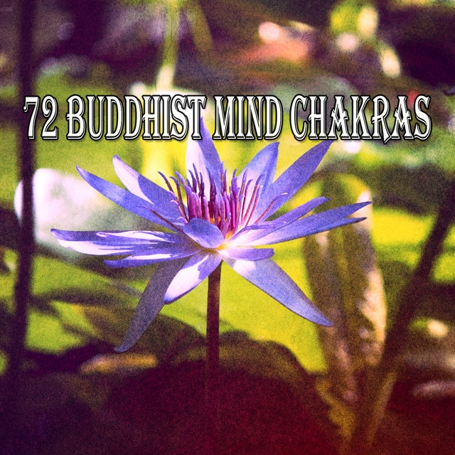 72 Buddhist Mind Chakras