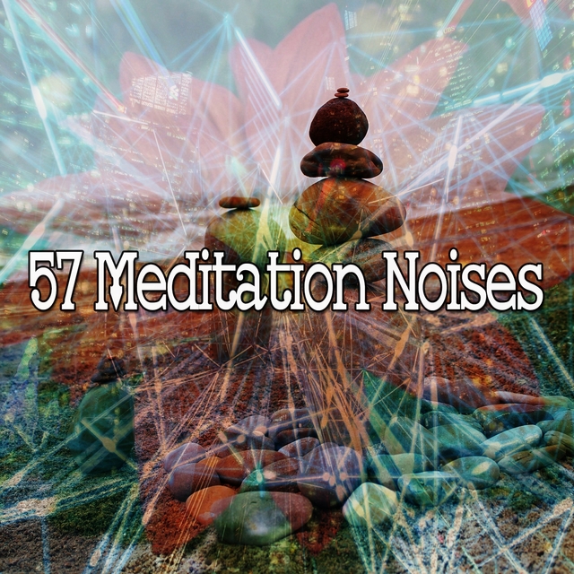 Couverture de 57 Meditation Noises