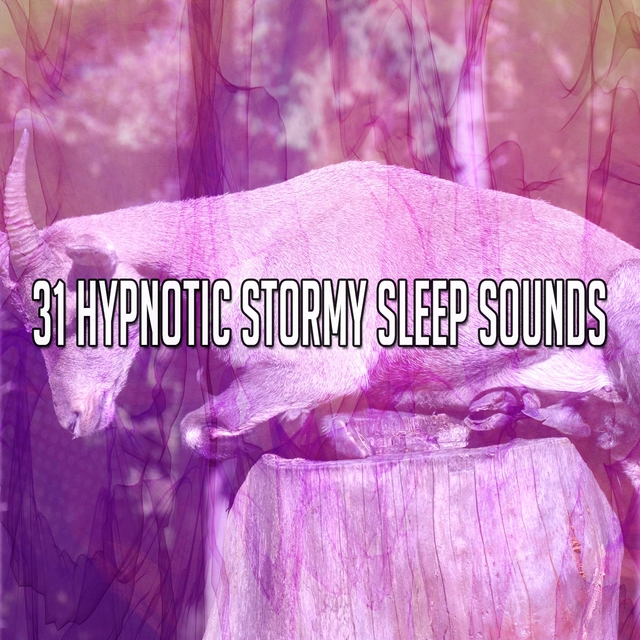 31 Hypnotic Stormy Sleep Sounds