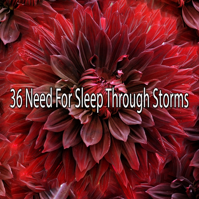 36 Need for Sleep Through Storms