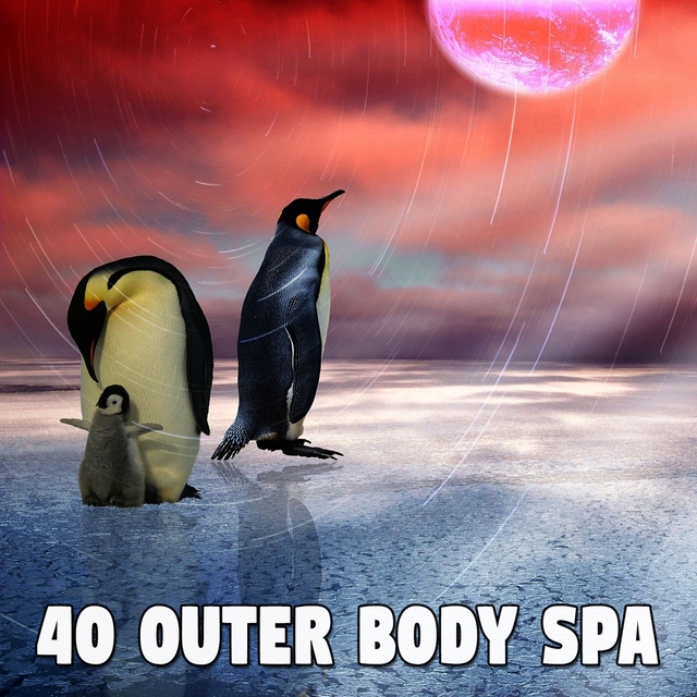 40 Outer Body Spa