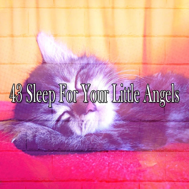 43 Sleep for Your Little Angels