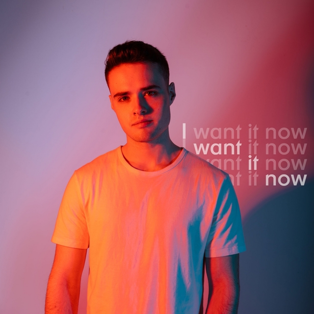 Couverture de I Want It Now