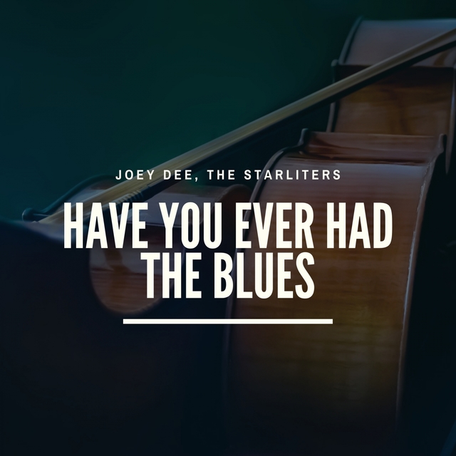 Couverture de Have You Ever Had the Blues