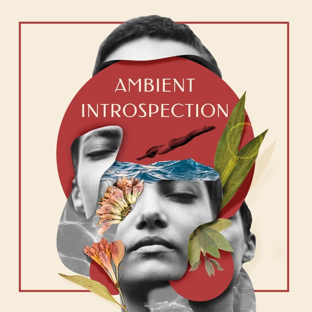 Couverture de Ambient Introspection