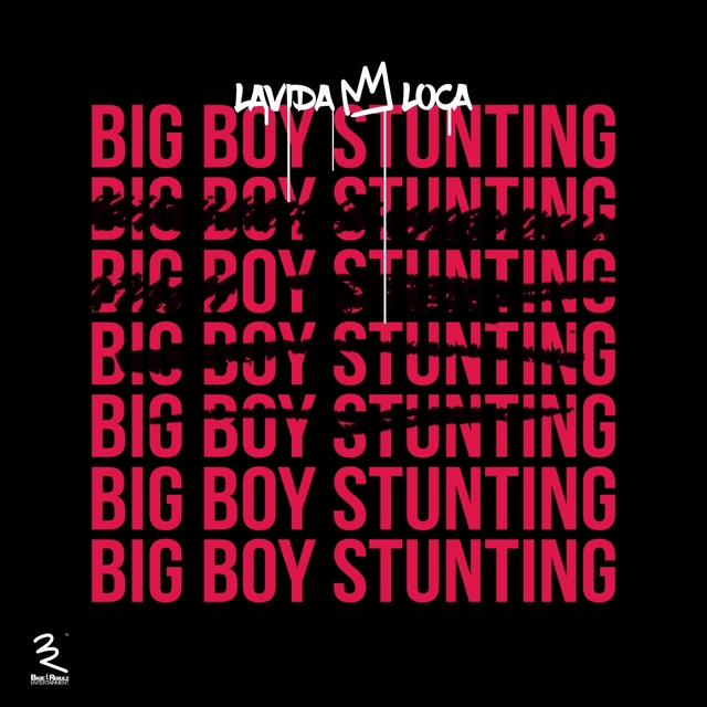 Couverture de Big Boy Stunting