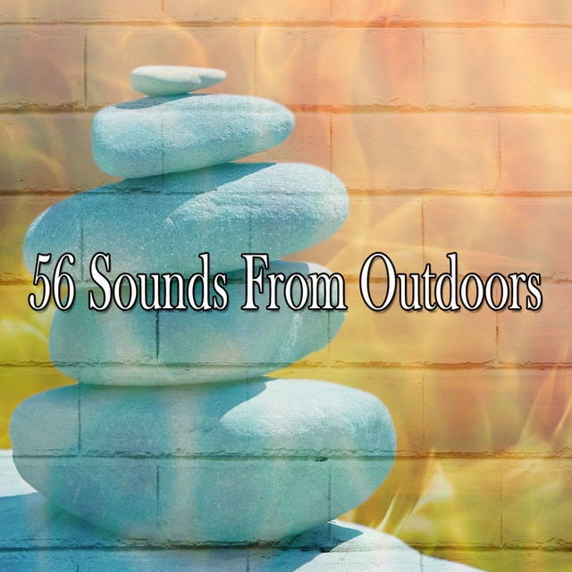 56 Sounds from Outdoors