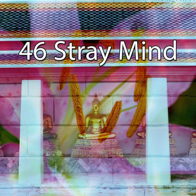 Couverture de 46 Stray Mind