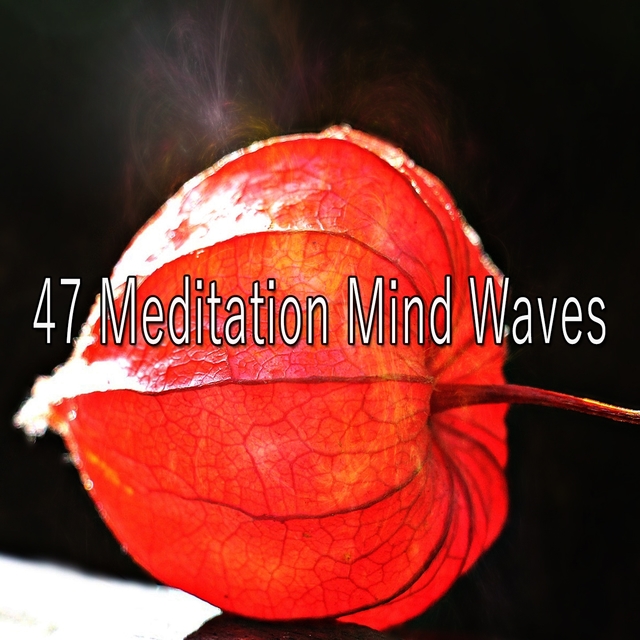 47 Meditation Mind Waves