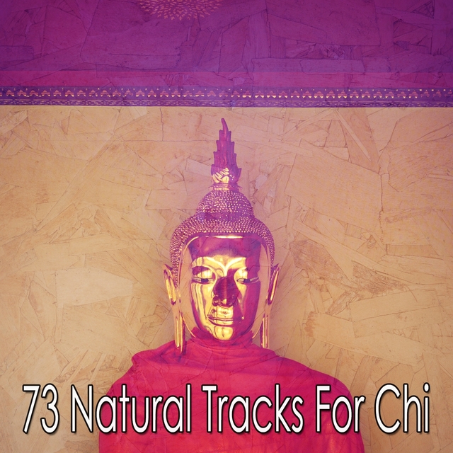 73 Natural Tracks for Chi