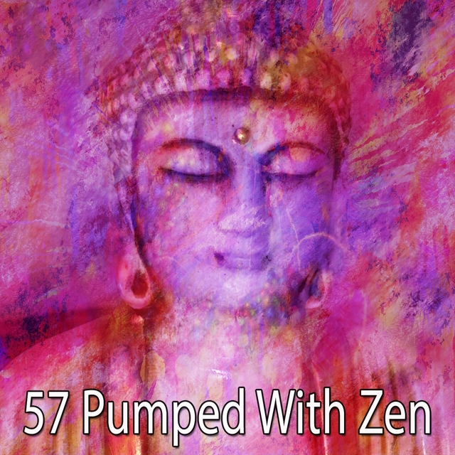 Couverture de 57 Pumped with Zen