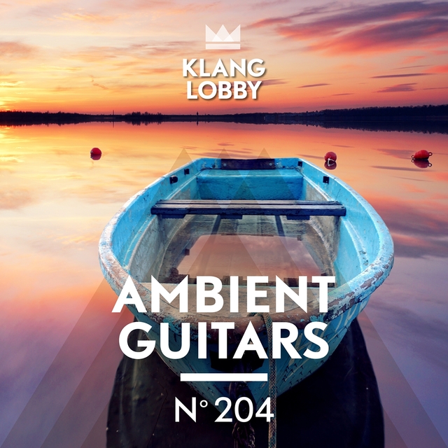 Couverture de Ambient Guitars