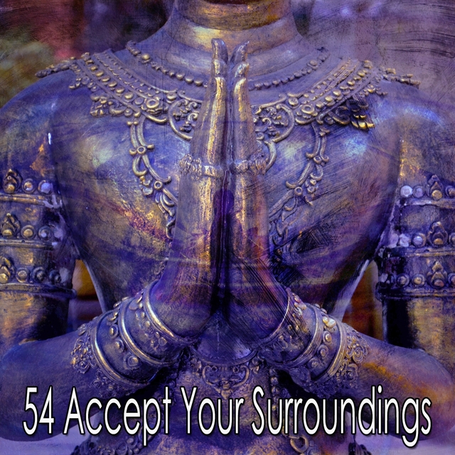 54 Accept Your Surroundings