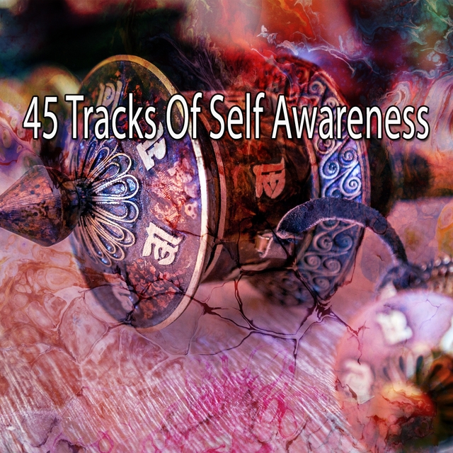 Couverture de 45 Tracks of Self Awareness