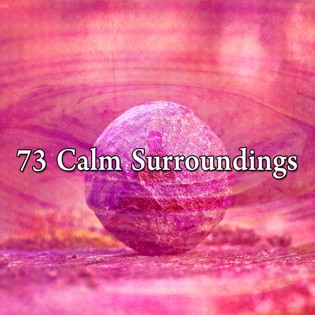73 Calm Surroundings
