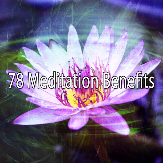 78 Meditation Benefits