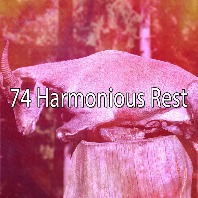 74 Harmonious Rest