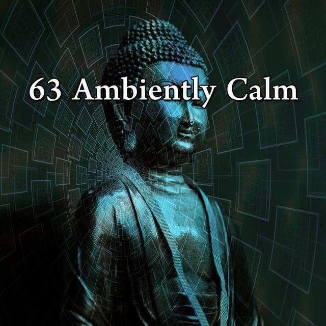 63 Ambiently Calm