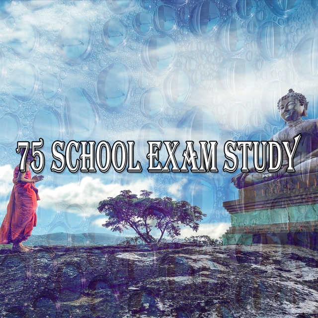 75 School Exam Study