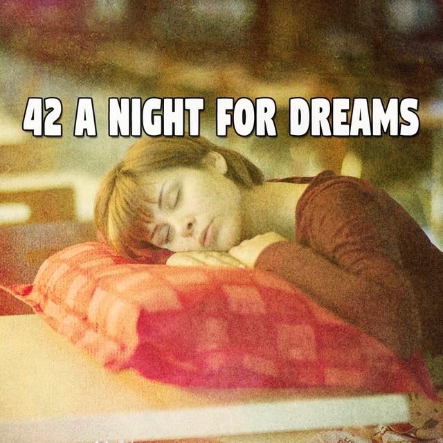 42 A Night for Dreams