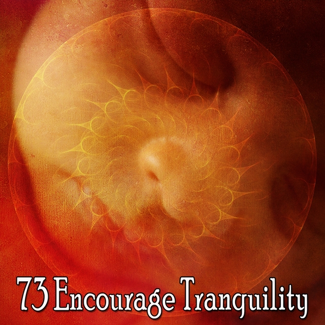 Couverture de 73 Encourage Tranquility