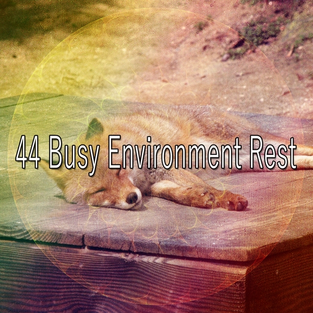 44 Busy Environment Rest
