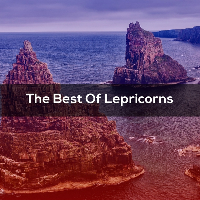 Couverture de The Best Of LEPRICORNS