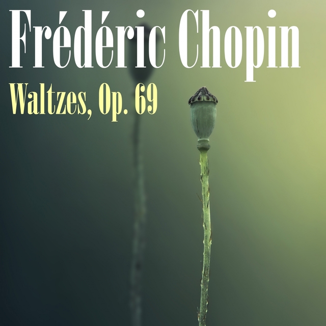 Couverture de Chopin: Waltzes, Op. 69